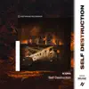 Self Destruction - Single album lyrics, reviews, download