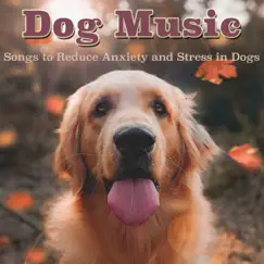 Dog Music: Songs to Reduce Anxiety and Stress in Dogs by Relaxmydog, Dog Music Dreams & Pet Music Therapy album reviews, ratings, credits
