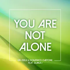 You Are Not Alone (feat. Diana J) [Radio Edit] Song Lyrics