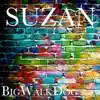 Suzan - Single album lyrics, reviews, download