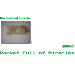 Pocket Full of Miracles by Jamaal album reviews, ratings, credits