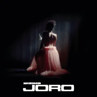 Download Joro Wizkid MP3