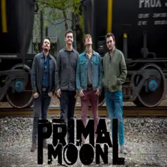 Knowhere to Go - Single by Primal Moon album reviews, ratings, credits