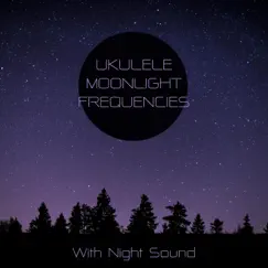 Cottage Dreams - Night Sounds Song Lyrics