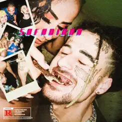 Safadinha (feat. Sos, Duzz, Sobs & Sueth) Song Lyrics