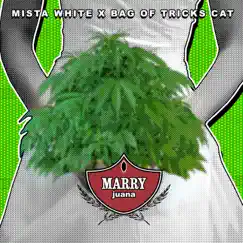 Marry Juana (feat. Bag of Tricks Cat) Song Lyrics