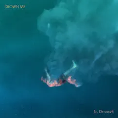 Drown Me Song Lyrics