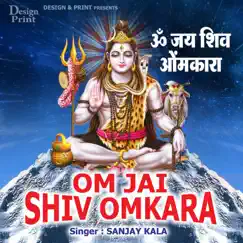 Om Jai Shiv Omkara - Single by Sanjay Kala album reviews, ratings, credits