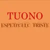 Espetáculo Triste album lyrics, reviews, download