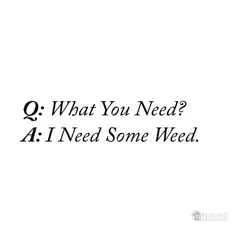 What You Need? Song Lyrics