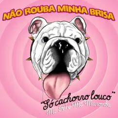Não Rouba Minha Brisa: Só Cachorro Louco (feat. Mc R1) Song Lyrics