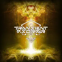 Secret Vibration - Single by Transient Disorder album reviews, ratings, credits