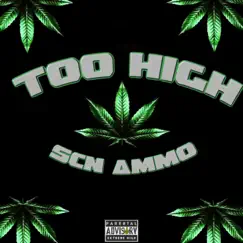 Too High - Single by Scn ammo album reviews, ratings, credits