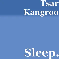 Sleep Away. - Single by Tsar Kangroo album reviews, ratings, credits