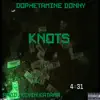 Knot$ (feat. Dophetamine Donny) song lyrics