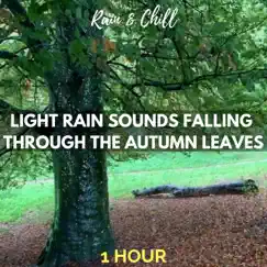 Light Rain Sounds Falling Through the Autumn Leaves: One Hour by Rain and Chill album reviews, ratings, credits