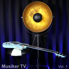 Musiker TV, Vol. 1 by Mario Seifarth album reviews, ratings, credits