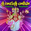 Sri Gayatri Chalisa album lyrics, reviews, download