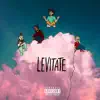 Levitate (feat. CoolAssPPL & Jabriel) - Single album lyrics, reviews, download