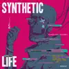 Synthetic Life - Single album lyrics, reviews, download