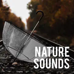 Nature Sounds by Rain Sounds & Nature Sounds album reviews, ratings, credits
