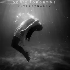 Don't Forget Me - Single by Ülvi Zeynalov album reviews, ratings, credits