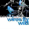 Wires Fly Wild album lyrics, reviews, download