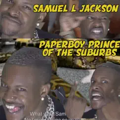 Samuel L Jackson - Single by Paperboy Prince of the Suburbs album reviews, ratings, credits