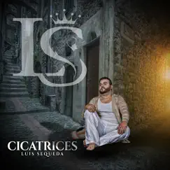 Cicatrices by Luis Sequeda album reviews, ratings, credits