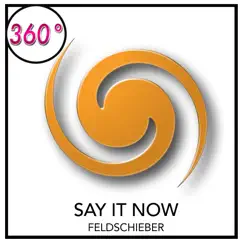 Say It Now - Single by Feldschieber album reviews, ratings, credits
