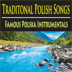 Traditional Polish Songs: Famous Polska Instrumentals by The Suntrees Sky album reviews, ratings, credits