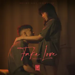 FAKE LOVE - Single by Hadi28 album reviews, ratings, credits