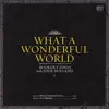 What a Wonderful World - Single album lyrics, reviews, download