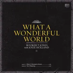 What a Wonderful World - Single by Booker T. Jones & Jolie Holland album reviews, ratings, credits