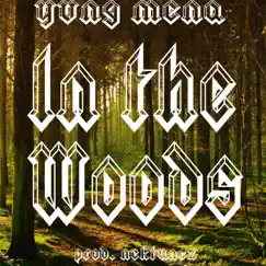 In the Woods - Single by BushBoyMena album reviews, ratings, credits