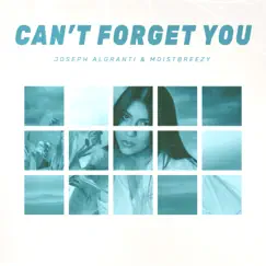 Can't Forget You - Single by Joseph Algranti & moistbreezy album reviews, ratings, credits