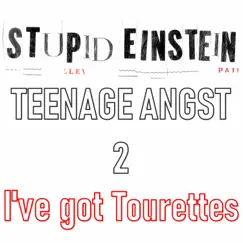 I've Got Tourettes - Single by Stupid Einstein album reviews, ratings, credits