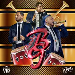Conciertos Vip 4K (Live) by Banda Bg album reviews, ratings, credits