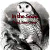 In the Snow - Single album lyrics, reviews, download