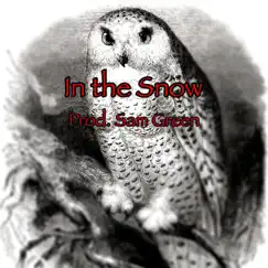 In the Snow - Single by Sam Green album reviews, ratings, credits