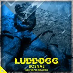 Bosnae by LudDogg album reviews, ratings, credits