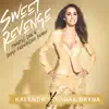 Sweet Revenge (Twisted Dee & Diego Fernandez Remix) - Single album lyrics, reviews, download