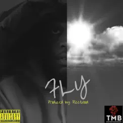 Fly - Single by O-Mack album reviews, ratings, credits