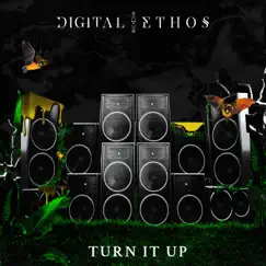 Turn It Up - Single by Digital Ethos album reviews, ratings, credits
