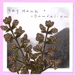 Dandelion - Single by Sky Hank album reviews, ratings, credits