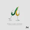 Nobody (feat. Romaine Willis & Dany Yei) - Single album lyrics, reviews, download