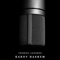 Karov Hashem - EP by Yechiel Lazarus album reviews, ratings, credits