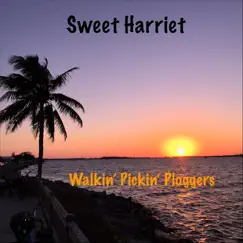 Walkin' Pickin' Ploggers - Single by Sweet Harriet album reviews, ratings, credits