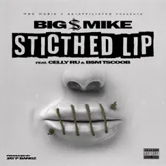 Stitched Lip (feat. Celly Ru & B$M TSCOOB) - Single by Big $ Mike album reviews, ratings, credits