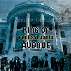 King of Pennsylvania Avenue (feat. Eric Stone) - Single by Shelter in Place album reviews, ratings, credits